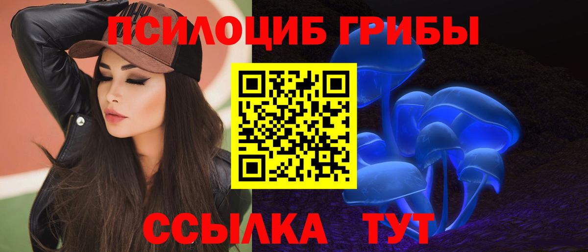 Барнаул  Псилоцибиновые грибы мицелий  Вход с VPN  Галлюциногенные грибы Cubensis 